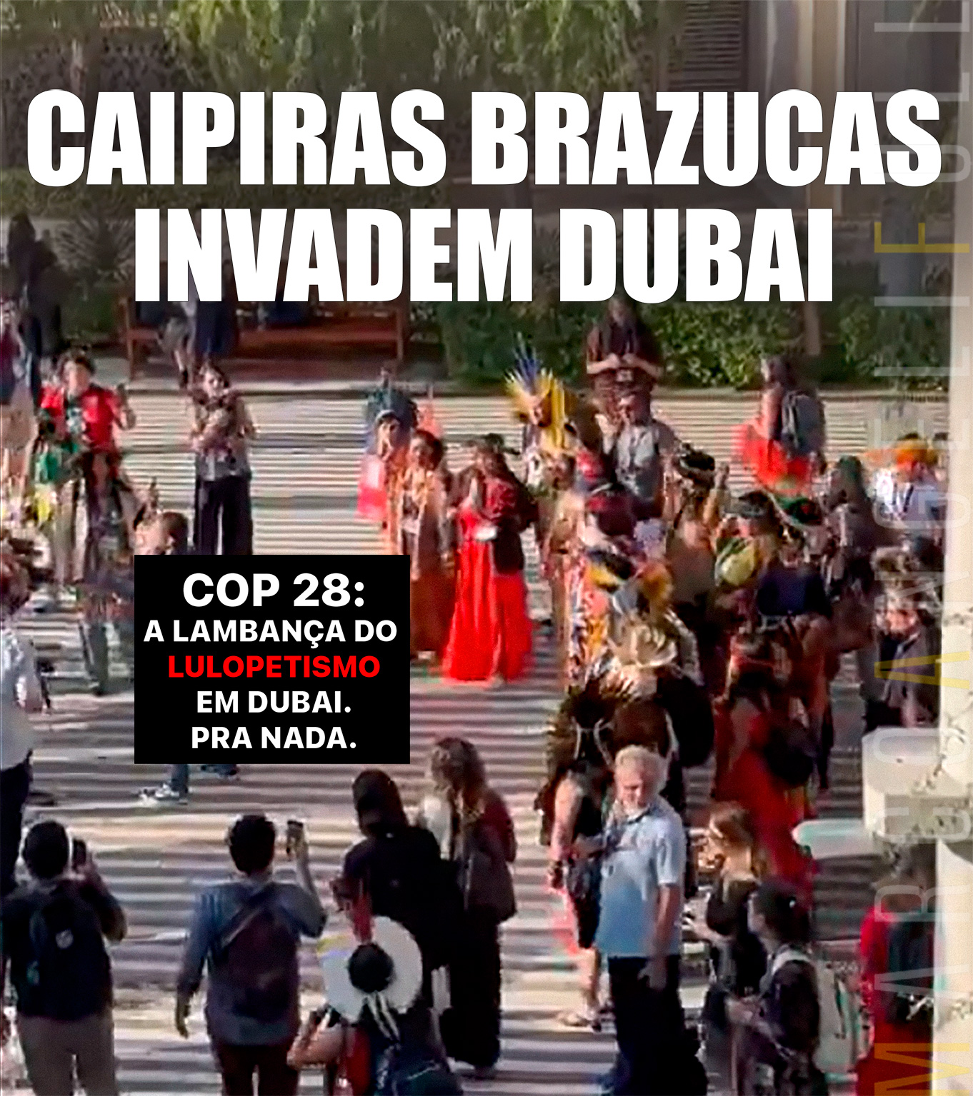 Sobrevivente Brazuca