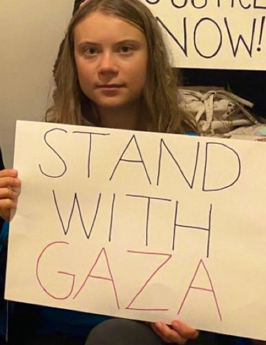 LailaPalestini1's tweet photo. Greta Thunberg stands with Gaza: https://t.co/yl7kPA78RV