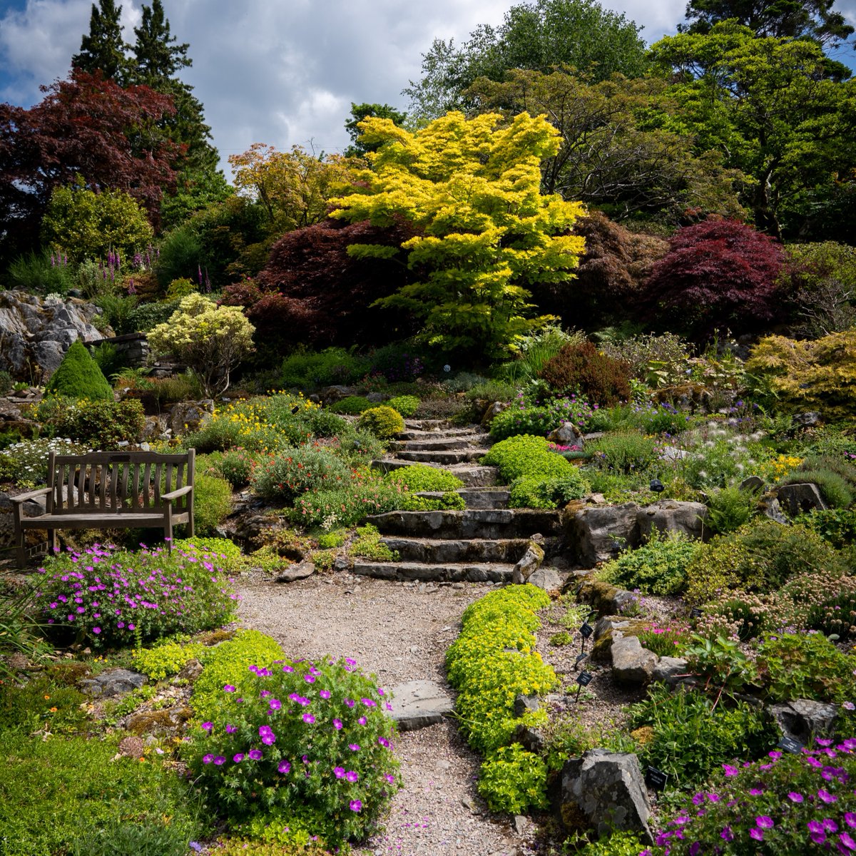 justInterview1's tweet image. Gardeners build organized structure to focus the flare. Same for business and employees. #gardener #focus #structuredesign #build #careernet #careernetnation #justinterview