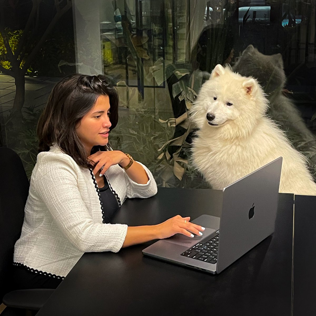 Kamelizer Spaces tweet media