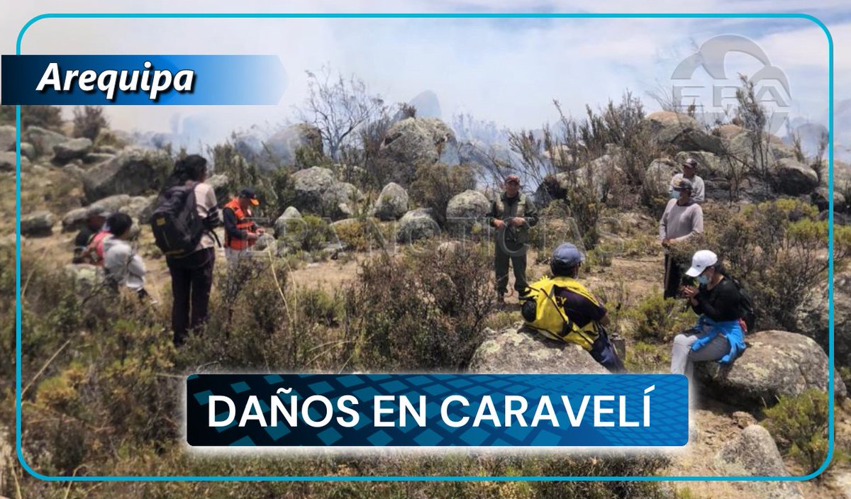 Poco a poco controlan incendio forestal en sector de Sondor, Caravelí dlvr.it/Szl4tS
