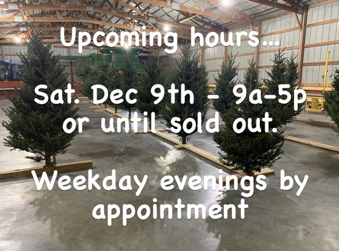 4EvergreenTree's tweet image. We still have some 6’ &amp;amp; 7’ Fraser Firs remaining. We’ll be open this coming Saturday from 9a-5p or until we sell out.  Thanks to everyone who chose @4EvergreenTree for their tree this holiday season.
