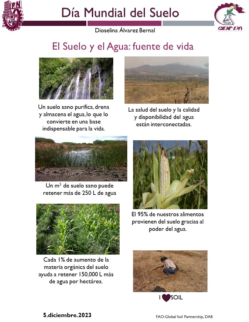 D AlvarezB/EcologíadeSuelos tweet media