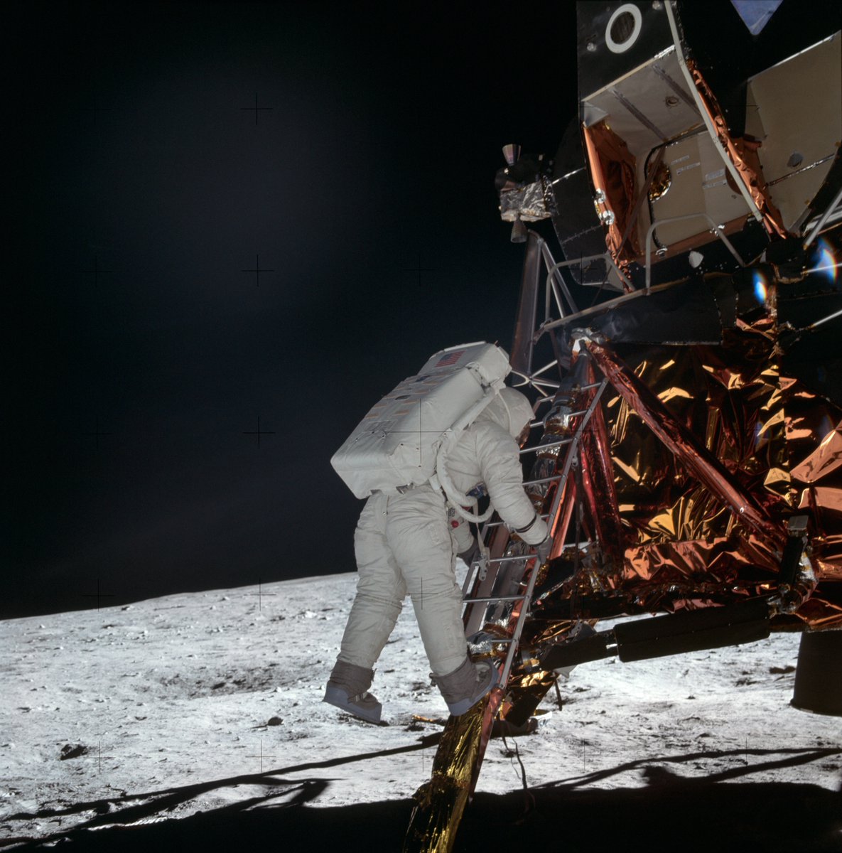 Jason Major tweet media