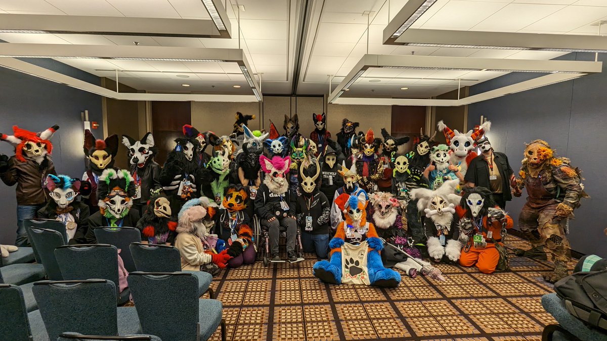 Bailey, Captain of The Bernese Mountain Dogs tweet media