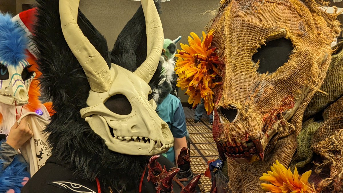 Bailey, Captain of The Bernese Mountain Dogs tweet media