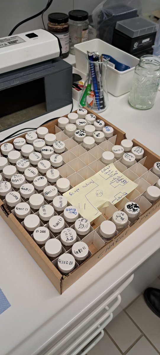 GloriusGroup's tweet photo. During our #InventoryDay we uncovered a hidden treasure โ a map leading to lost chemicals! ๐๐งช๐บ๏ธ Hoping #Nikolaus takes note and surprises us with some more gifts tomorrow! ๐ #LabDiscoveries https://t.co/YJXFuuIOjZ