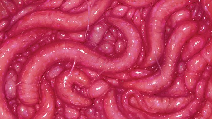 触 手 ま み れ  壁紙にすると画面から出てくるから注意ね☺️🪱