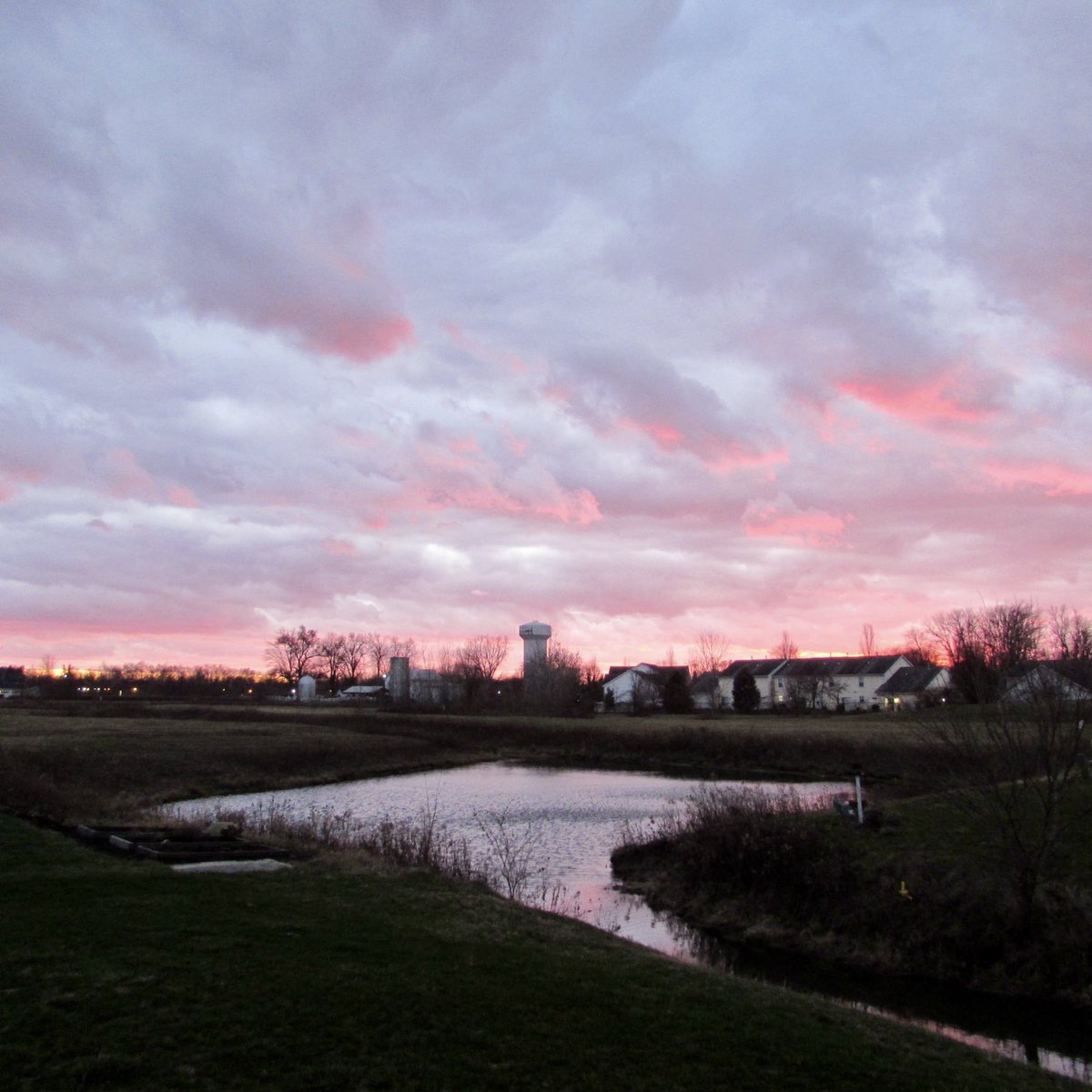 outmybackdoor7's tweet image. Pink on parade #pink #pinkskies #purple #reflections #reflection #blue #ohio #midwest #sunset #pond #acrossthepond #pondlife #nature #scenery #artistry #mothernature #beauty #aesthetic #aesthetics #mood #brilliant #outmybackdoorbydenise #parade