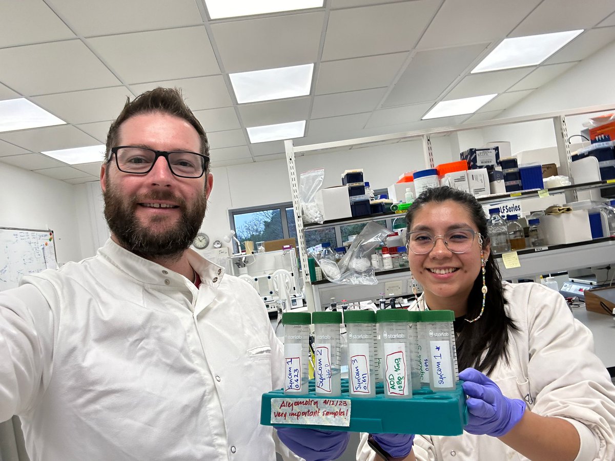 Alejandra211909's tweet image. The "tree surgery" was finally on today 🤩 We started the last experimet of the @FutureOak_ project, testing the effect of microbial SynComs in oak saplings! Happy to have the best team all along @jamesemcdonald @Usman_Hussain_S @PyneEd @marine_cambon @cenococcum