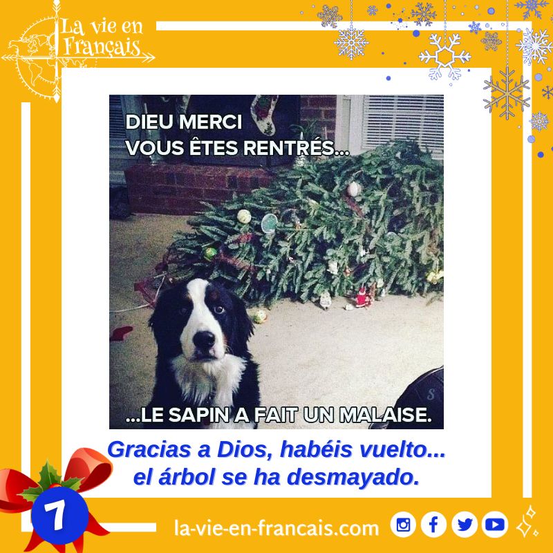 Lavieenfrancais's tweet photo. ยฟCulpable o inocente?
Descarga mi ebook:https://t.co/AOvSgyXDao
#LaVieEnFrancais #FLE #francais #frances #french #Meme #Memes #FrenchMeme #Humour #Humor #Friends #FriendsMeme #Noel #Navidad #Christmas #Noel2023 #Navidad2023 #Christmas2023 #Christmastime #Christmasmood #PereNoel https://t.co/Ho2uy2xhIg