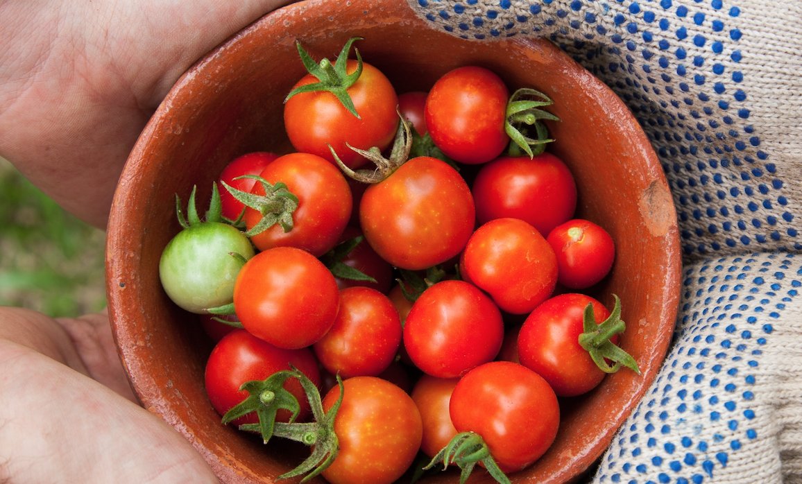 Food safety guidance and legislation has evolved considerably since the <a href="/US_FDA/">U.S. FDA</a> introduced the Food Safety Modernization Act in 2011, not least due to the global pandemic. In this article we look at some of the key updates that could impact your business. bit.ly/3GvP0W0