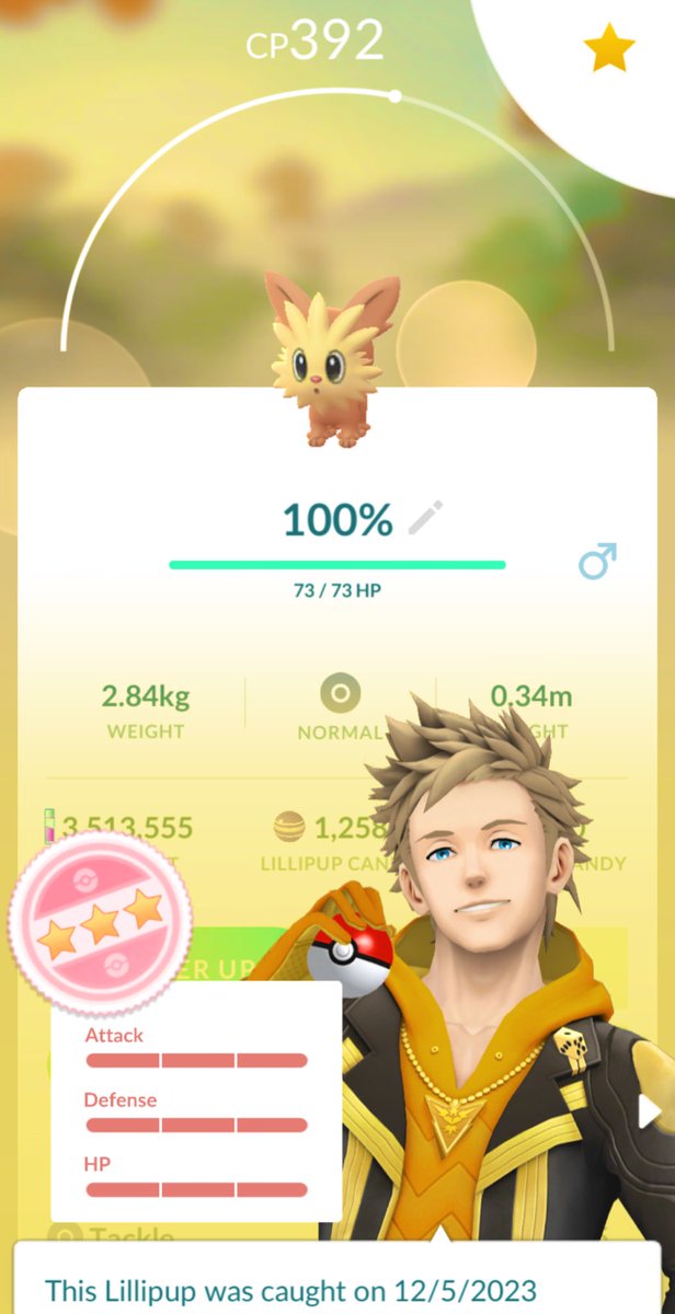 PokemonGoSanto's tweet photo. 100% Lillipup from my reward task ‘A Route to New Friendships’ 💯🐶💯🐶

#PokemonGO #Pokemon #ポケモンGO https://t.co/iyF1HcoB5h