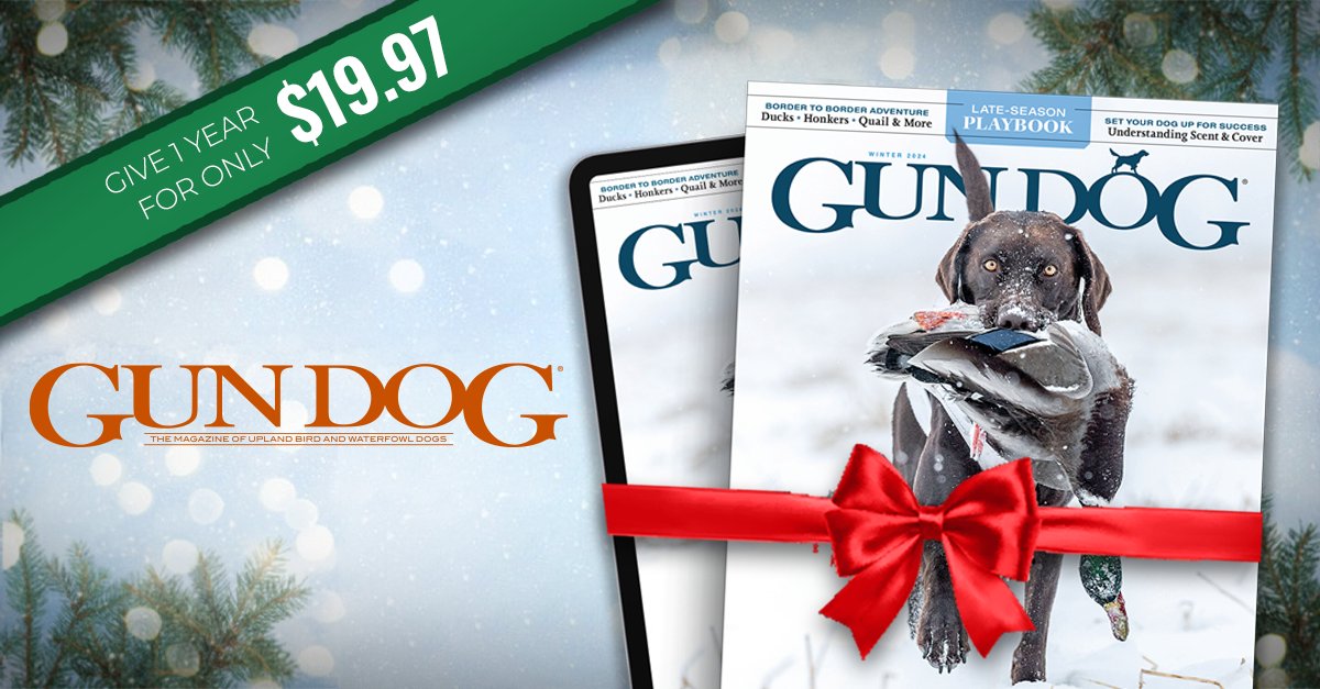 Shopping for an avid hunter? Give a year of Gun Dog magazine for the ultimate guide to hunting, training, and stories about the greatest four-legged partners. For only $19.97 someone on your list can receive a whole year of Gun Dog magazine. bit.ly/47Dc8O8