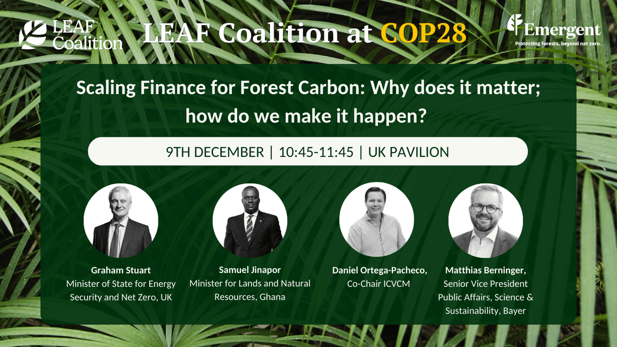 Scaling Finance for Forest Carbon: Why does it matter; how do we make it happen? #LEAFCoalition corporate representative Mattias Berninger @berninger71 of @Bayer will join an expert panel to discuss this vital topic at the UK Pavilion at 10.45am on December 9. @COP28_UAE