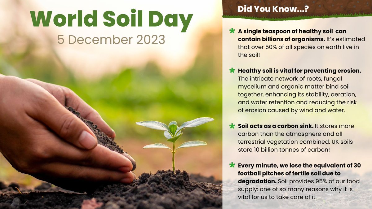 Happy World Soil Day from #LondonNationalParkCity!

#WorldSoilDay #WorldSoilDay2023 #SoilHealth #SaveOurSoil #OrganicFarming #HealthySoil #SoilScience #CarbonCapture