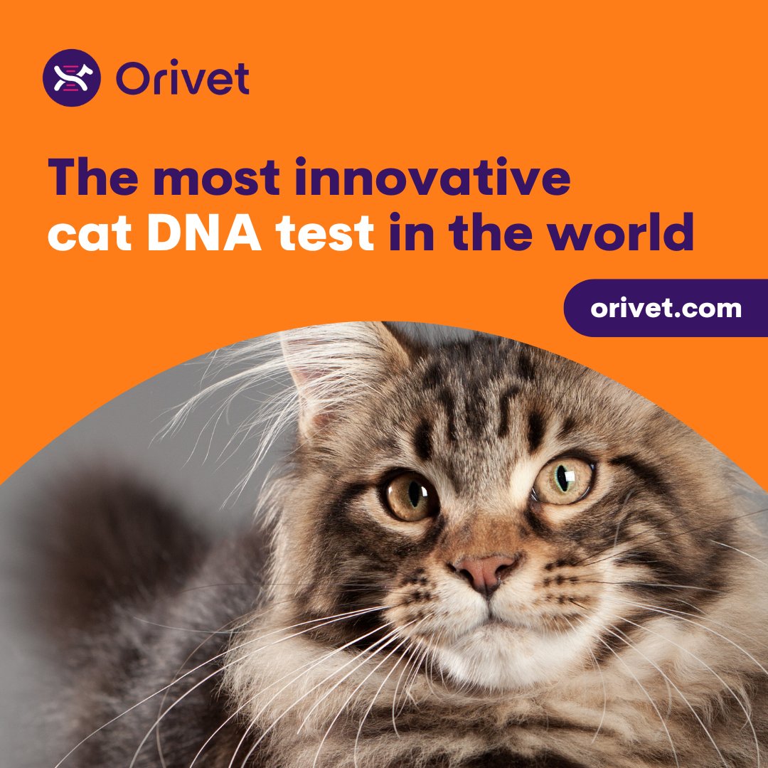 Unlock the potential of genetic testing with Orivet! With over 12 years of experience serving Breeders, Orivet offers a diverse range of over 40 genetic tests for health and phenotype. Register now and gain access to our complete range of services here: bit.ly/3qqxMBG