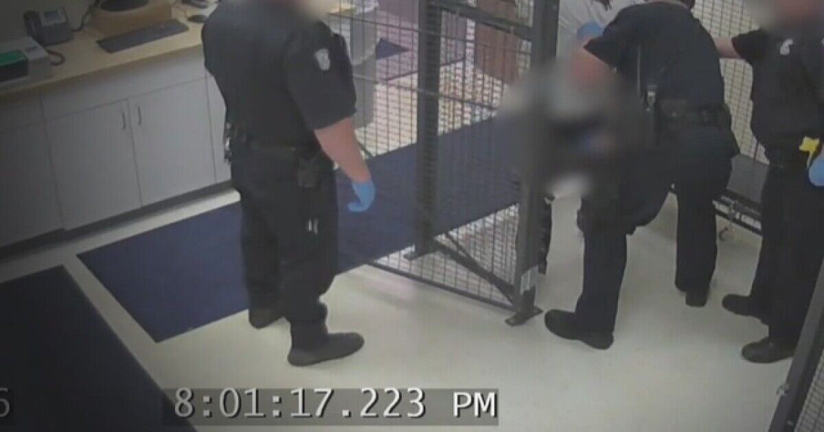 Bluecodepodcast's tweet image. My client said it best, "I want the city to know that you can't do this type of SHIT to people. #policebrutality #jail #dehumanization #power #abuse

fox47news.com/news/monday-at…