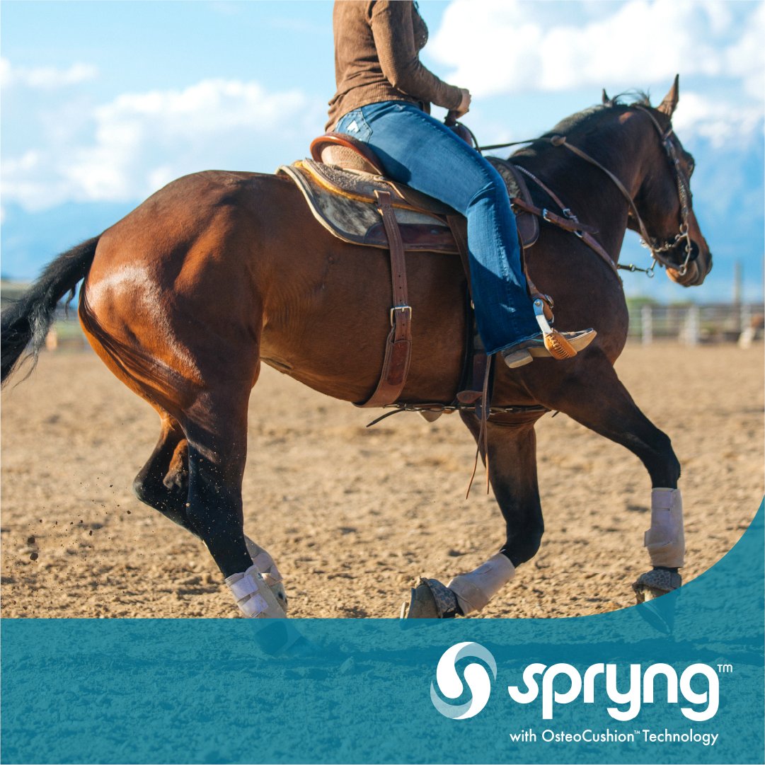 With a single injection of Spryng™ with OsteoCushion™ Technology, you have the power to manage lameness and joint issues.
✔ simply
✔ effectively
✔ economically
Learn more at zurl.co/qArS