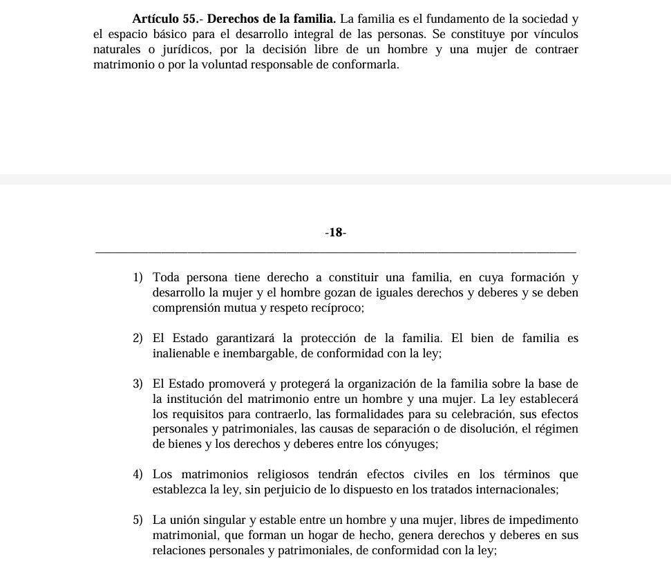 La Constitución Dominicana establece cómo es el matrimonio y las uniones consensuales entre un hombre y una mujer. No se necesita un listado explícito de prohibiciones para entender lo que la Constitución no permite.

#QueremosLoMejorParaelTC