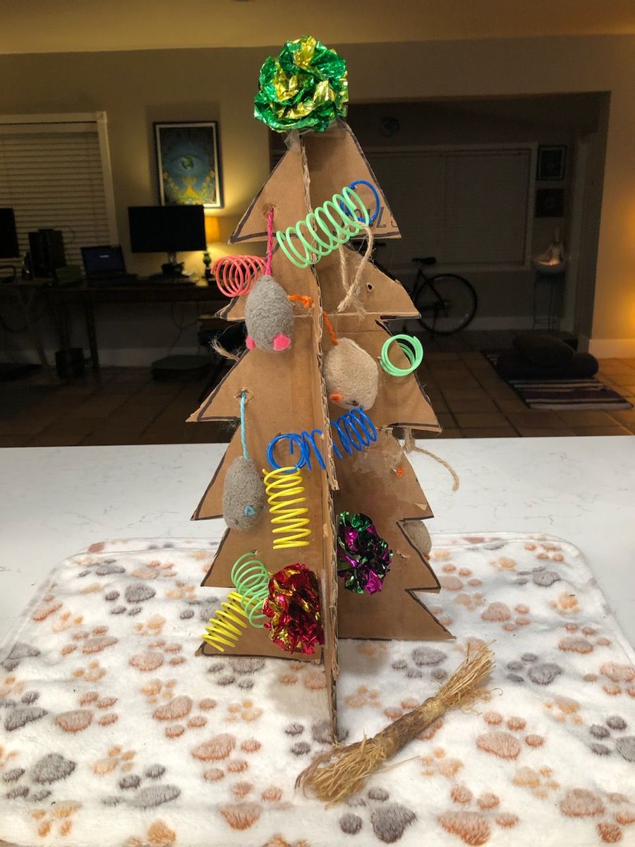 Sakura's adopter, Kasi, created this cardboard tree for her fluffy darling and spritzed it with catnip spray.  (Look at Santa's little helper assisting.) 

We think it's brilliant!