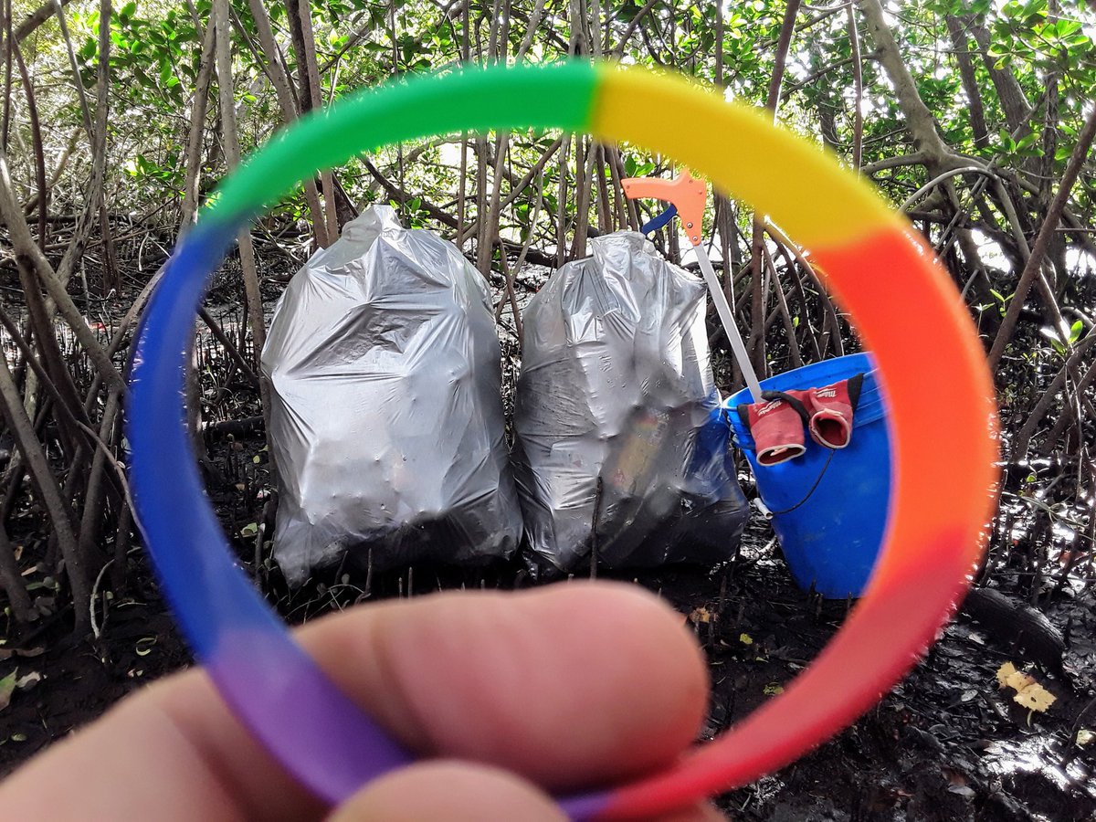 TJRPitt's tweet photo. Collected plastic bottle #9,000 today in less than 7 months time.
Stop buying water in a single use bottle ffs😡...drink your water out of a Reusable container!🌎
2 Earthcleanup Litter bags as seen through a colorful wristband.
Low tide on Clearwater's Stevenson creek reveals all https://t.co/eGuSqalGti