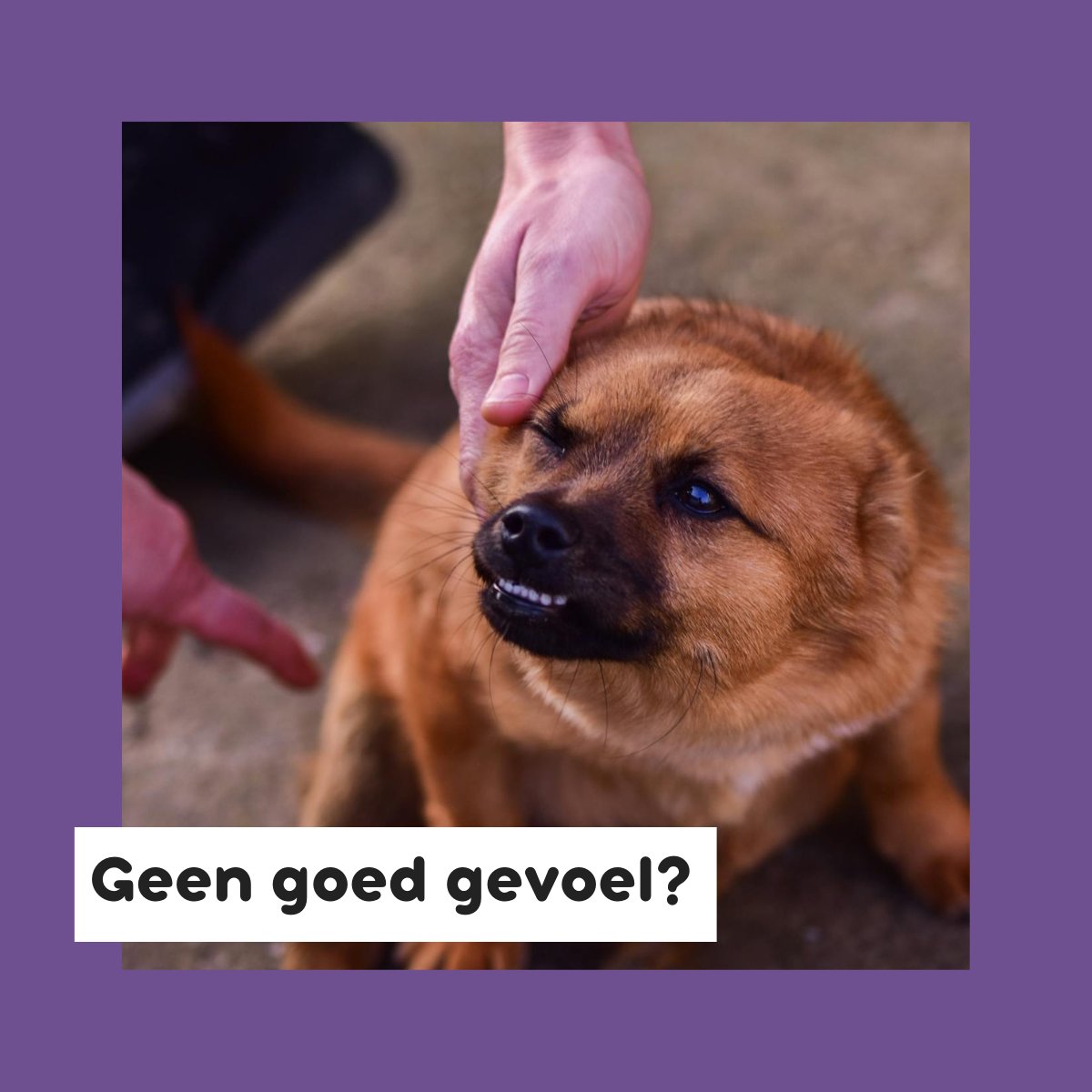 Is dat bedrijf betrouwbaar?

Samenwerken gaat alleen goed in vertrouwen.🤝 Soms moet je daar wat voor checken!
is het bedrijf:
te vinden op Google?
ingeschreven bij het KvK?
te zien op LinkedIn?
bekend in jouw netwerk?👥

Een klein onderzoek kan jou enorm helpen!