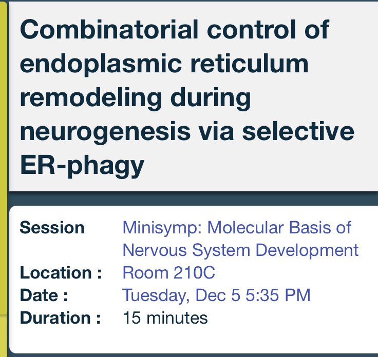 I have been loving all the neuron talks at #cellbio2023! Join me for my talk at 5:35, if you are interested in neurons, autophagy, the ER, and proteomics.