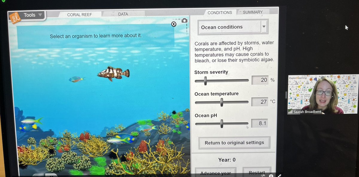 Thanks to @SaarahBroadent from @ExploreLearning for engaging our intermediate students and teachers in the exploring coral reefs gizmo.

@TCDSB teachers, we have one more gizmo session today at 2.

#TcdsbCSEdweek wraps up Thursday, check out the registration link for more info