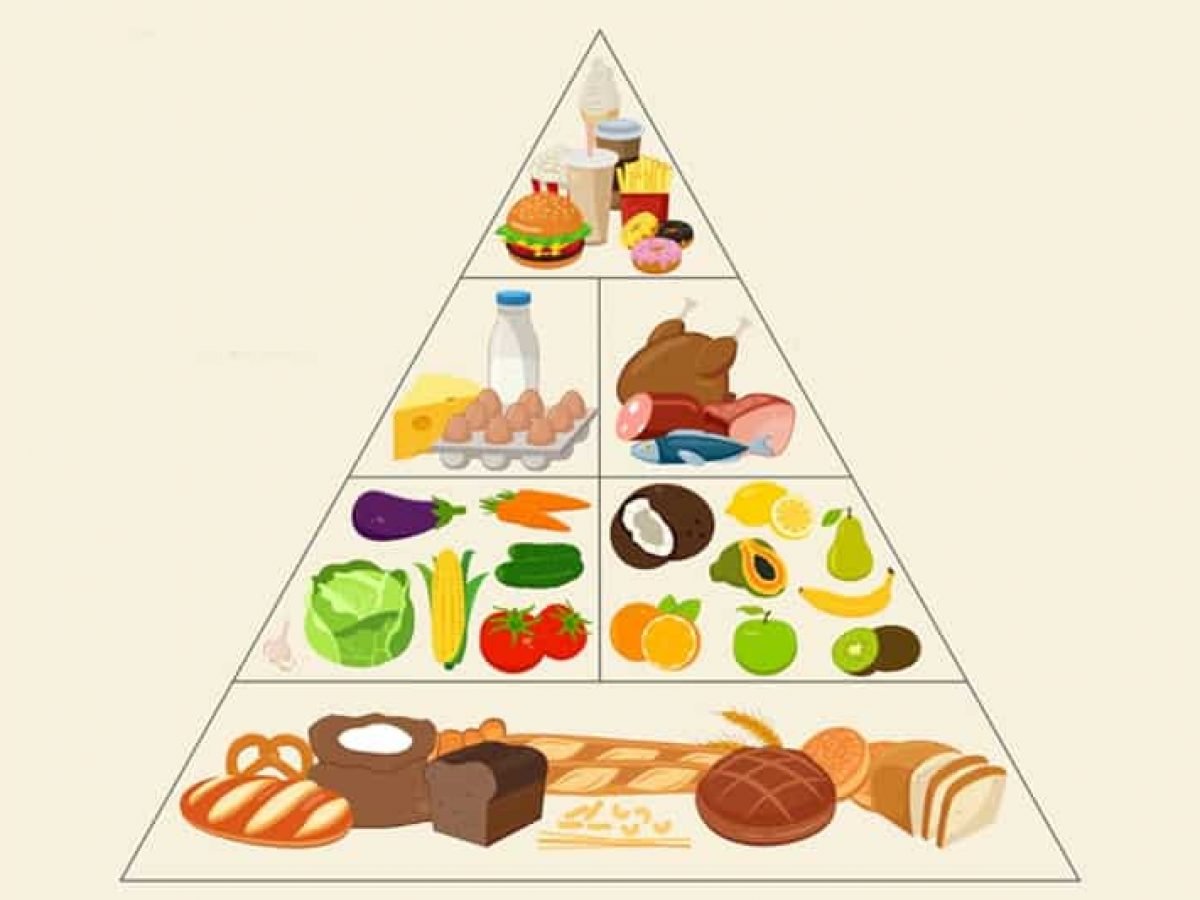 Carnivore_Snax's tweet photo. The food pyramid is making you sick and unhealthy

It's built on lies and is a concoction of anti-nutrients leading to inflammation and a disrupted gut

Here's all you need to know regarding anti-nutrients: https://t.co/zNYIArZBHO