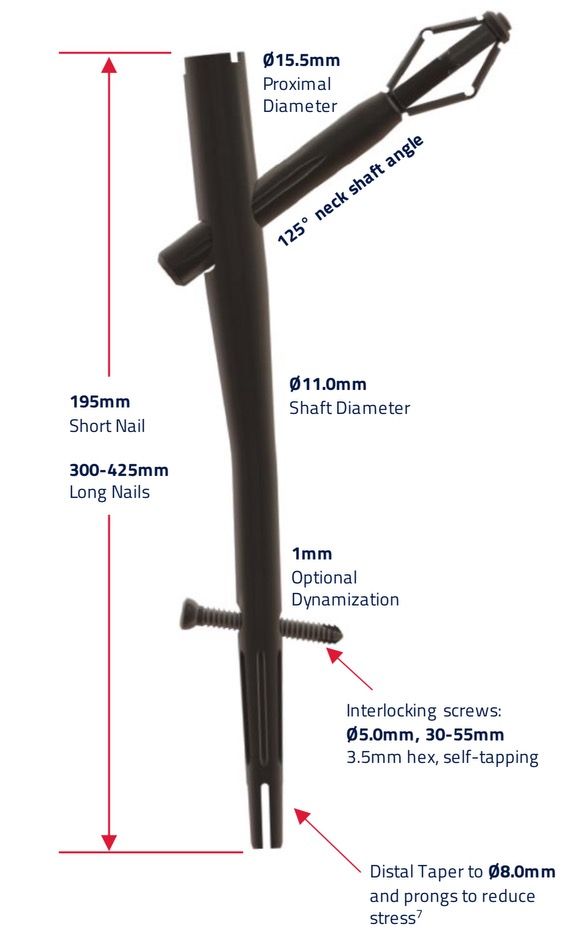 X-Bolt Trauma tweet media
