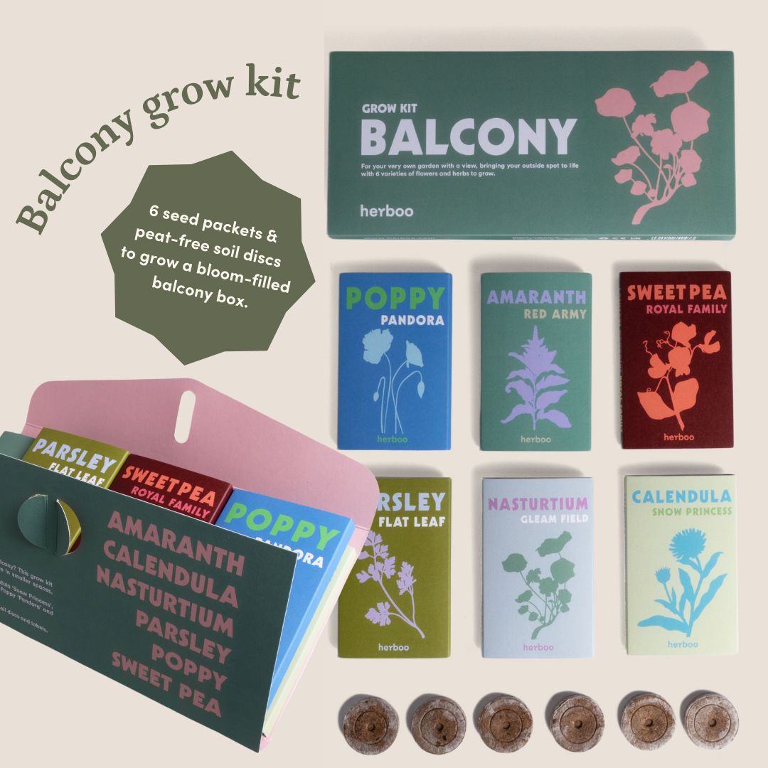 Gift ideas to get your loved ones growing at shopgreenrooms.com 
Find terrarium kits, propagation products, grow your own oxalis kits, seed sets &amp; many more gifts to get creating, growing &amp; learning. ⁠

⁠shopgreenrooms.com

#giftsforplantlovers