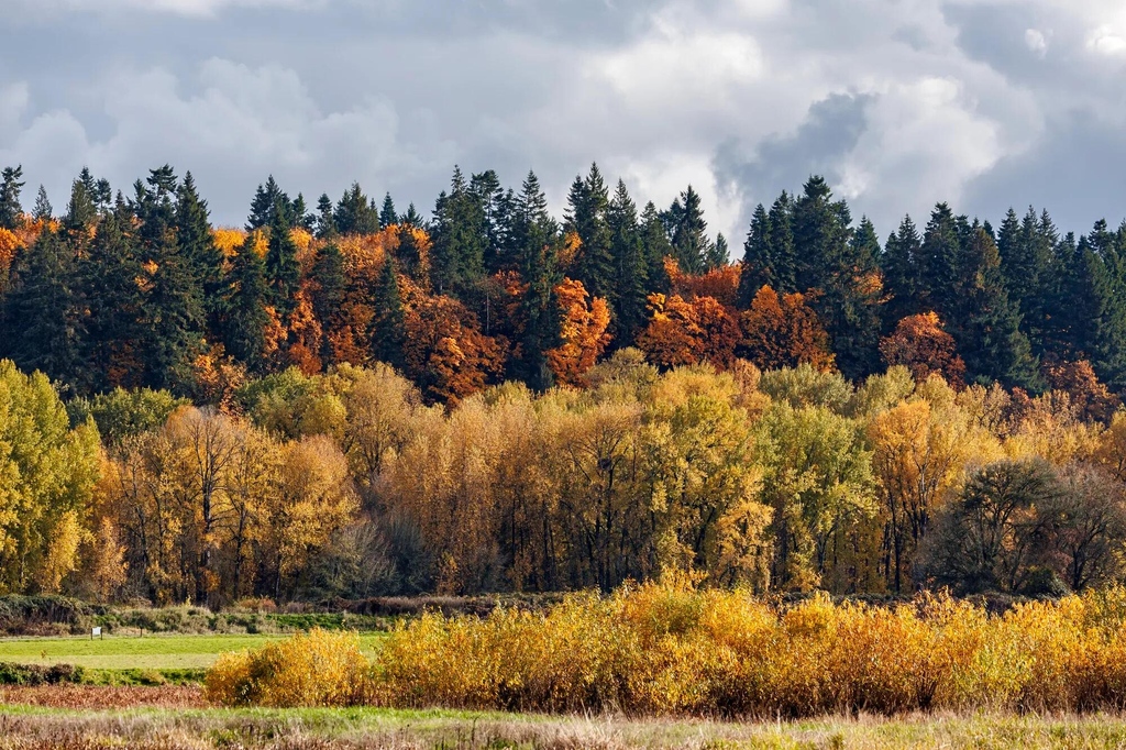 clickasnap_'s tweet image. Expand your photography knowledge with ClickASnap. Check out our 'Photographer of the Week' for some inspiration! 📸📆⁠
⁠
📷️: clickasnap.com/profile/ilesmic

#ClickASnapStar #Photographeroftheweek #PhotoOfTheDay #WeeklyPhotography