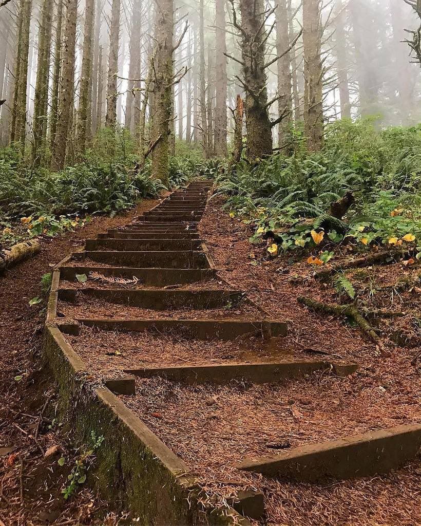Beautiful Oregon tweet media