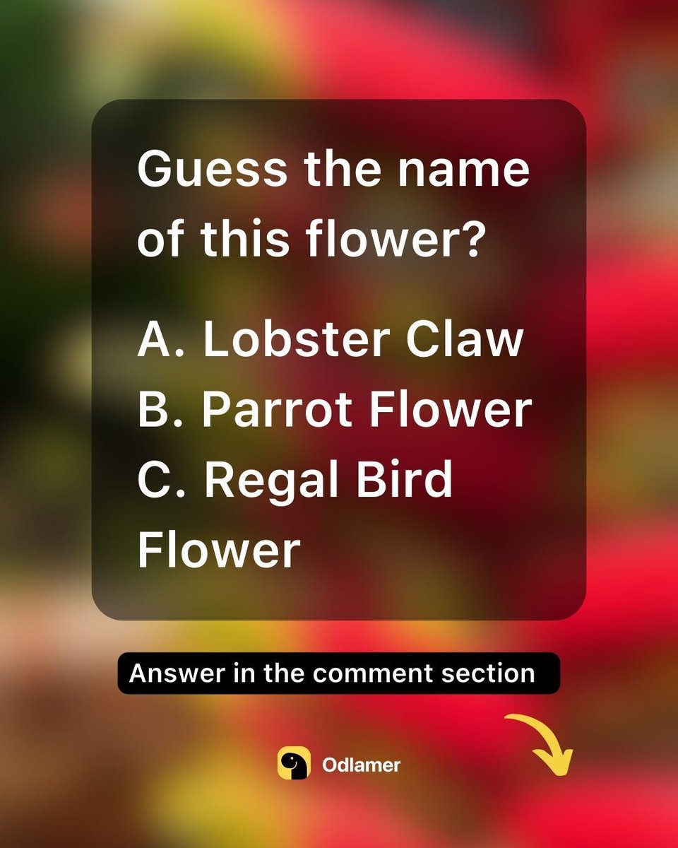 🇬🇧🌿Guess the name of this beauty! Drop your answers in the comments in the OdlamerApp. 🌸✨Download the app with the link in the Bio.  
.
.
 #GardenQuiz #PlantQuiz #odlamerapp #TrädgårdsQuiz