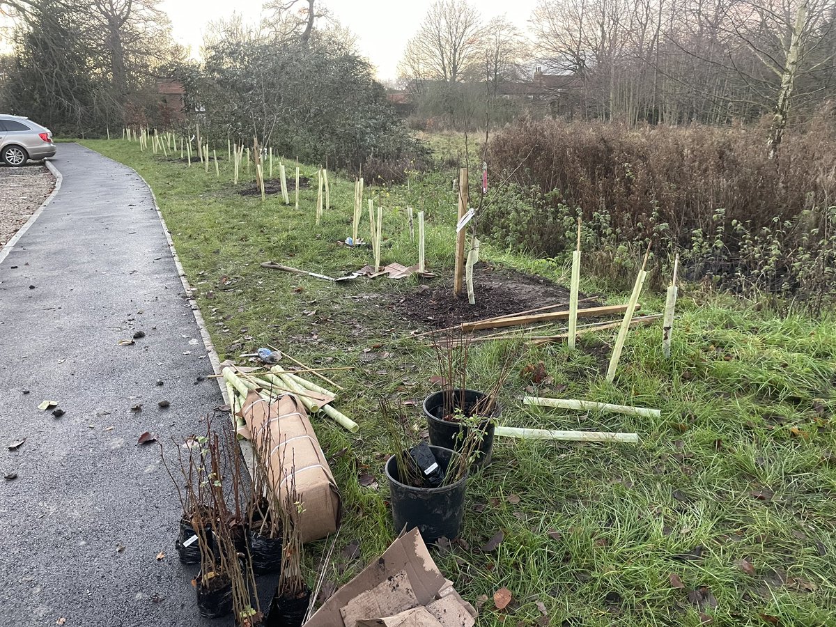 Alexis Percival (@alexiskeech) on Twitter photo We planted a fantastic hedgerow with a mix of hazel, goat willow, blackthorn, hawthorn, alder and dog rose. Some fruit trees also planted in the hedge with 80 trees going in the ground.
<a href="/PandHSArch/">P+HS Architects</a> <a href="/NHSForest/">NHS Forest</a> <a href="/yas_charity/">Yorkshire Ambulance Service Charity</a> <a href="/YorksAmbulance/">Yorkshire Ambulance</a> @starbucks <a href="/hubbubUK/">Hubbub</a> <a href="/NHSCharities/">NHS Charities Together 💙</a> We planted a fantastic hedgerow with a mix of hazel, goat willow, blackthorn, hawthorn, alder and dog rose. Some fruit trees also planted in the hedge with 80 trees going in the ground.
<a href="/PandHSArch/">P+HS Architects</a> <a href="/NHSForest/">NHS Forest</a> <a href="/yas_charity/">Yorkshire Ambulance Service Charity</a> <a href="/YorksAmbulance/">Yorkshire Ambulance</a> @starbucks <a href="/hubbubUK/">Hubbub</a> <a href="/NHSCharities/">NHS Charities Together 💙</a>