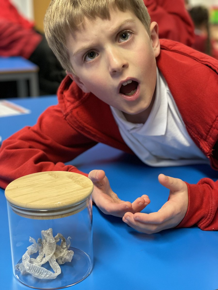 Grimes Dyke Primary School tweet media