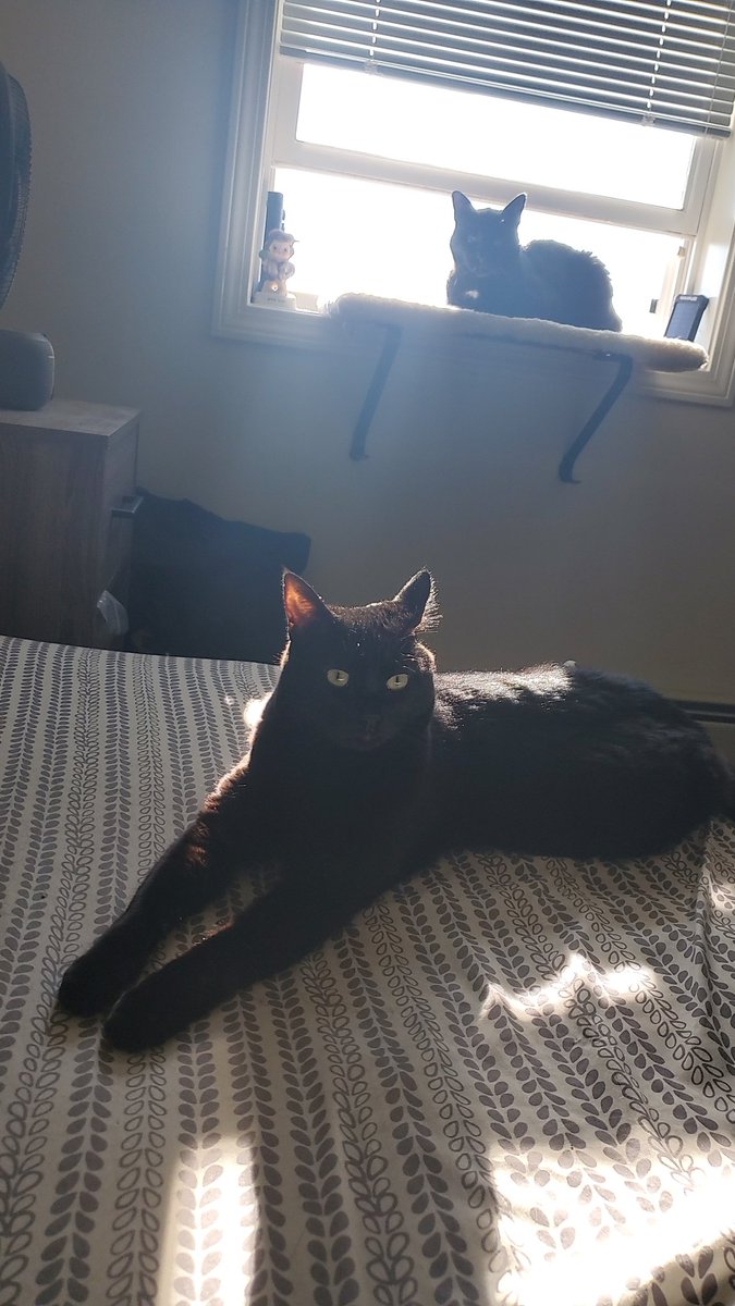 Luke Charland tweet media