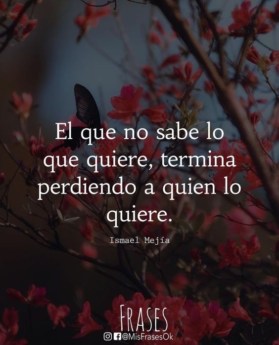 Zoila Alcantara (@alcantaraq11) on Twitter photo 