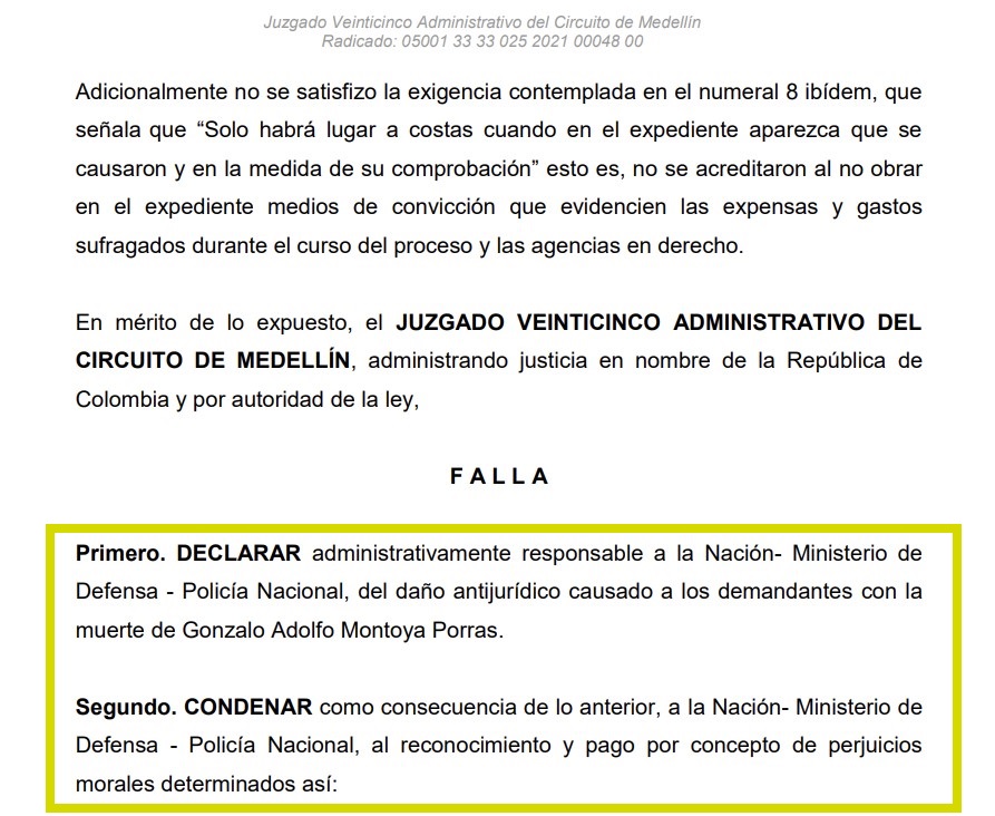 El Armadillo tweet media