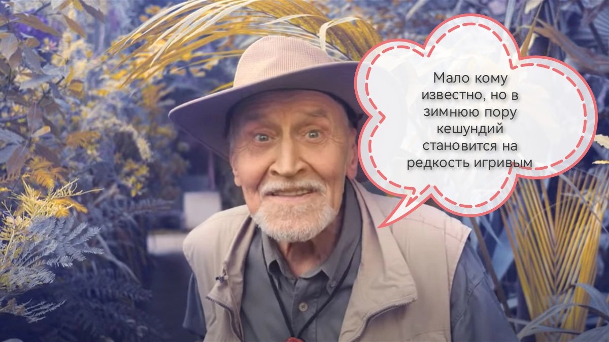 Inregillensis's tweet photo. https://t.co/qAZQhFjrWP