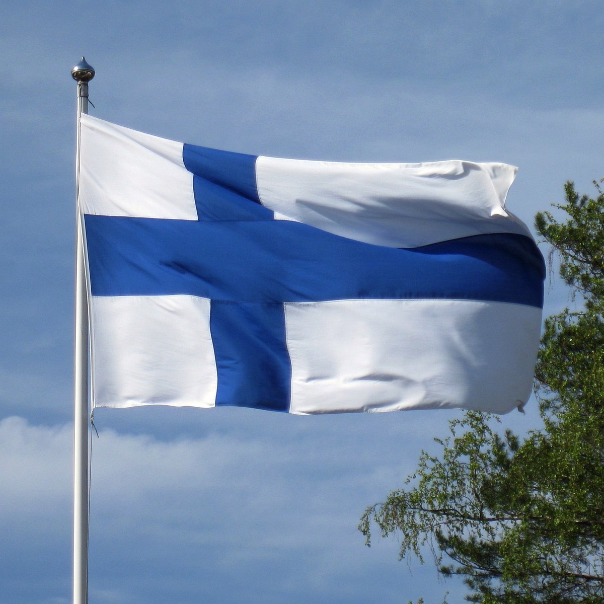 Il 6/12 è il giorno dell'indipendenza della Finlandia.
Auguriamo a tutti i nostri amici. amiche, colleghi e colleghe finlandesi una buona giornata dell'indipendenza!
Happy indipendence day to all our finnish friends and colleagues! Hyvää itsenäisyyspäivää!
#finnishindipendenceday