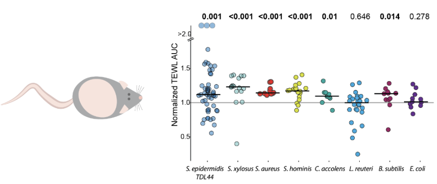 Veda Khadka tweet media
