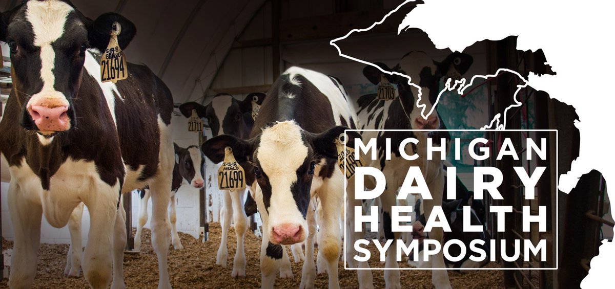 Ángel Abuelo Sebio (@angelabuelo) on Twitter photo If you want to learn more about the "Science of Healthier Calves," come to <a href="/msuvets/">MSU Veterinary Medicine</a> next February: mailchi.mp/45802b7d9c17/m…. If you want to learn more about the "Science of Healthier Calves," come to <a href="/msuvets/">MSU Veterinary Medicine</a> next February: mailchi.mp/45802b7d9c17/m….