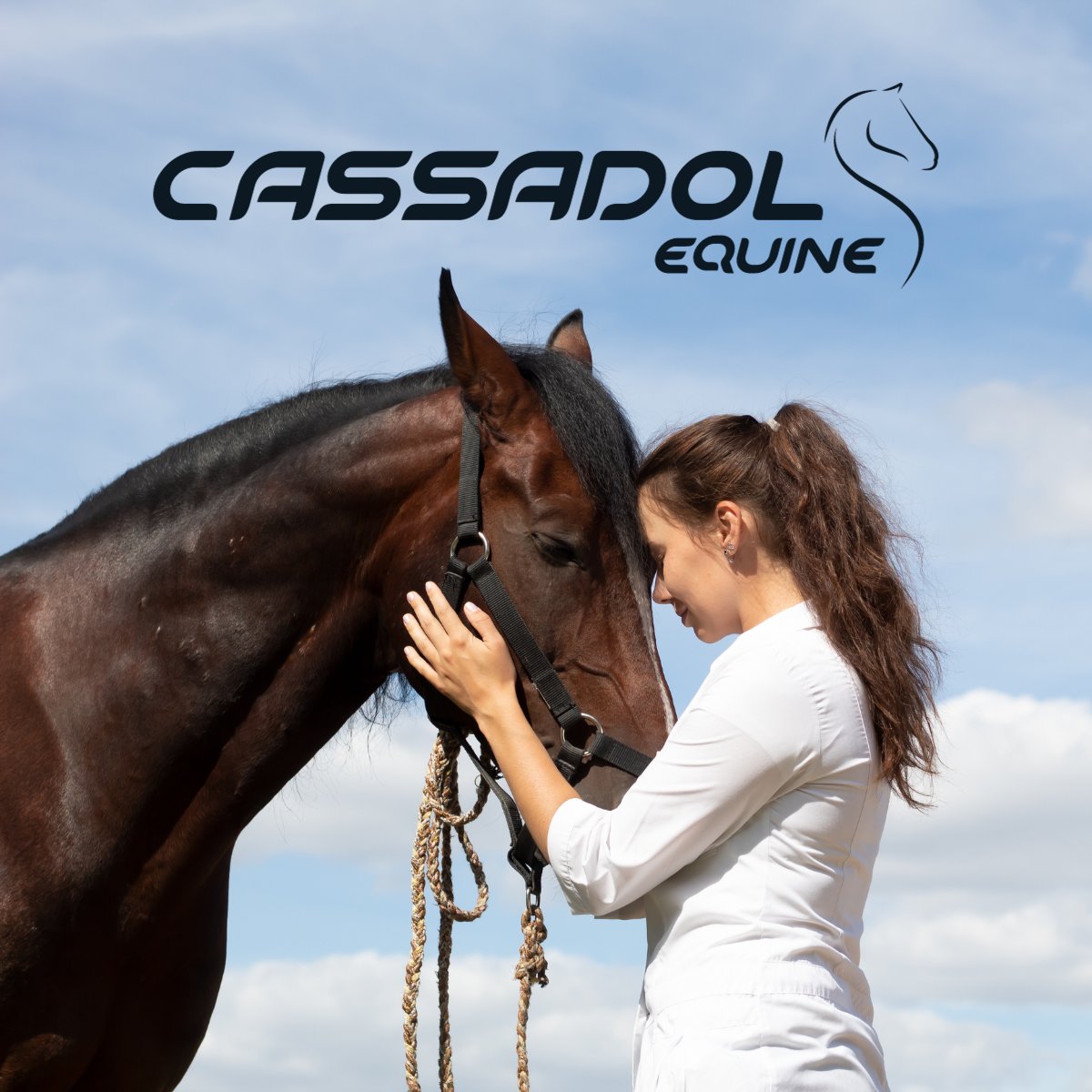 cassadolvet's tweet image. Invest in seamless practice management and focus on what you do best. 
Learn more at cassadol.vet

#SoloVet #EquineVeterinarian #PracticeManagement #CassadolEquine