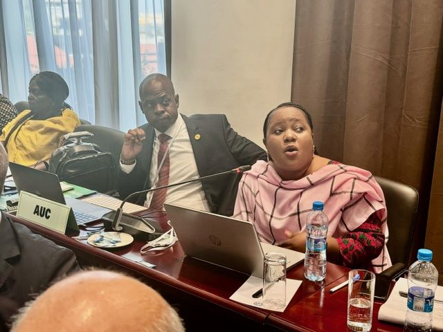AUC_PAPS's tweet photo. Experiences from Implementing Organizations on the status of implementation of #ERM processes on #SAMIM; #CTSAMVM; #Mali; #Burkina_Faso ; #Sudan . Participants assessed progress, challenges &amp; recommendations; mapped out the way forward for future interventions. (7/7) https://t.co/fMWwjB1HKj