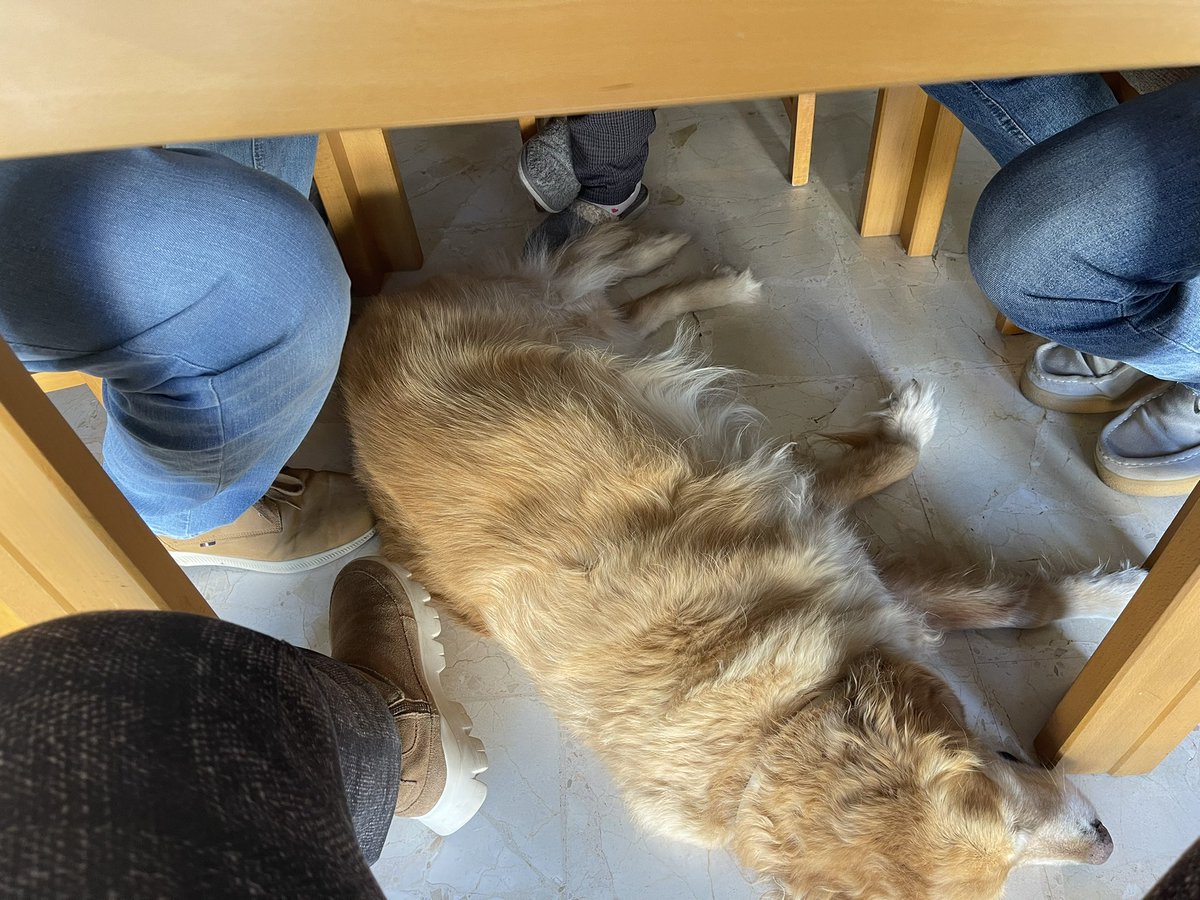 Ellos siempre acompañan en las visitas de PADES. <a href="/felipe_867/">Felipe Villacís Stacey</a> <a href="/DueloGrupo/">Grup Dol Luciérnaga</a>