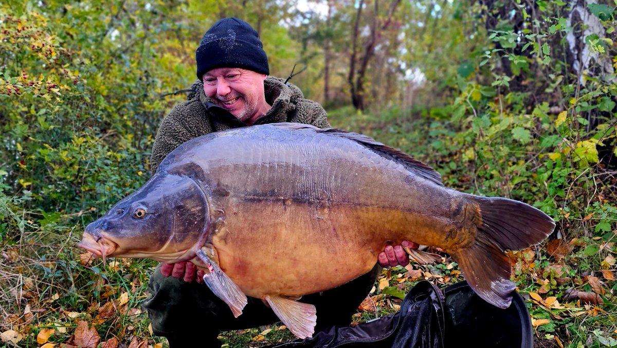 SmithSmith765's tweet photo. This nice Autumn Fish Hit the Bank two Weeks back.
Diesen Herbst Fisch gefangen vor ca zwei Wochen.
#fishing #fish #fish https://t.co/n4gzkPoZ5P