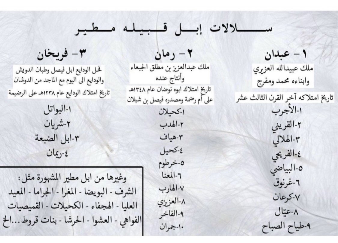 ضرغام نجد tweet media