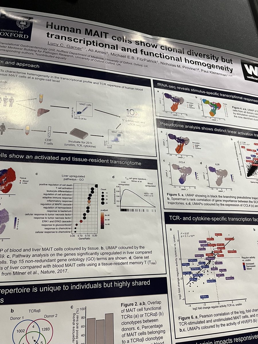 Come and see my poster now on the regulation and function of human #MAITcells! #411